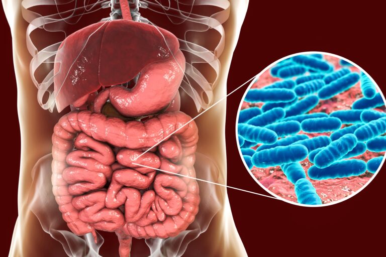 Microbiote intestinal