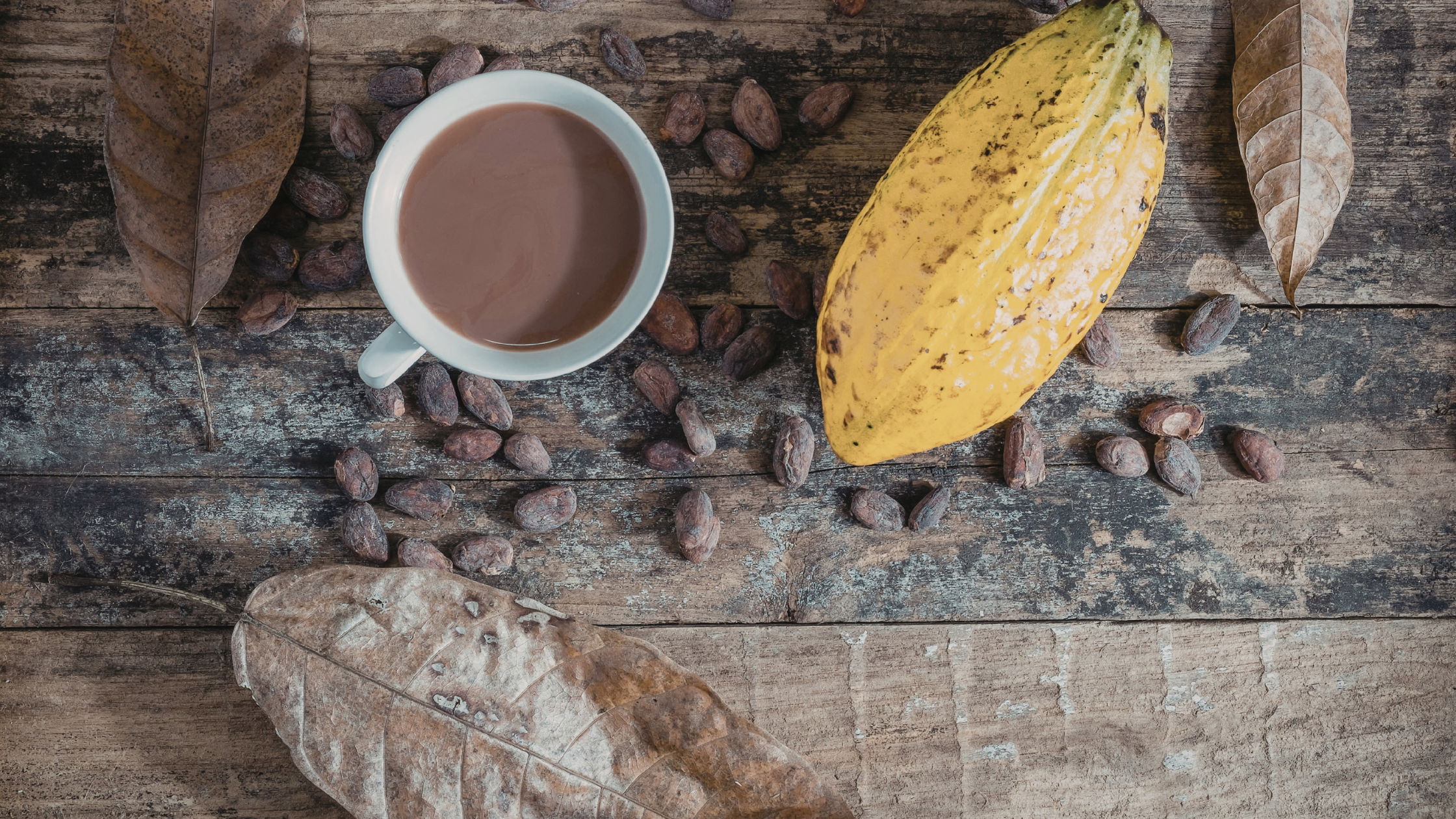 préparation cacao