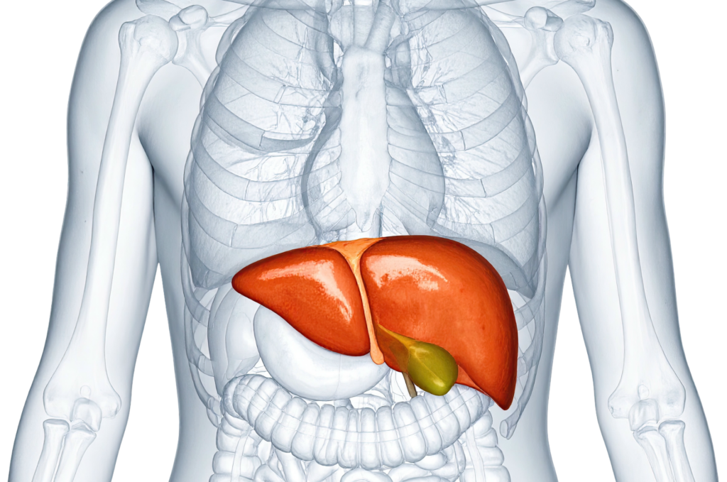 foie cure détox printemps