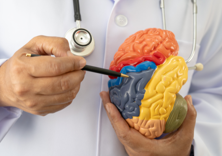 système nerveux parasympathique et sympathique